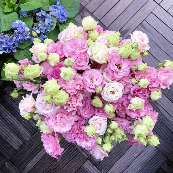 🔥🌸 Łatwe w uprawie nasiona lisianthusa - kwitną w pomieszczeniach i na zewnątrz 🌿