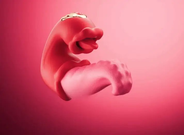 Różany język, lizanie łechtaczki, podwójny wibrator, dildo
