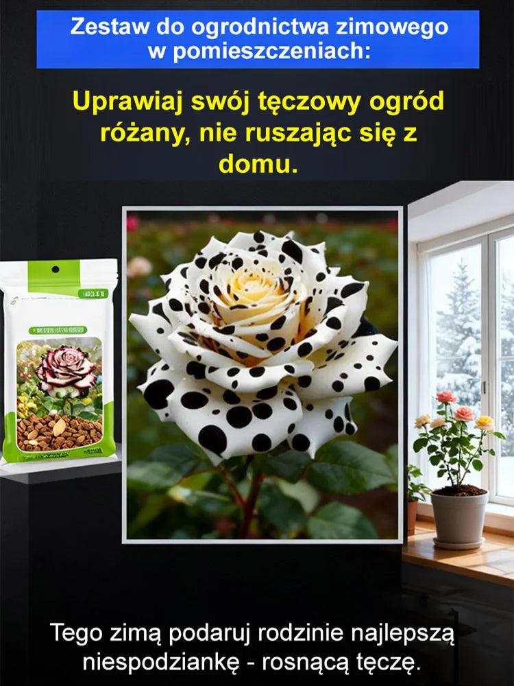 Nasiona wielogłowego plamistego róży. Odkryj piękno wielogłowych róż z unikalnymi plamkami w swoim ogrodzie!